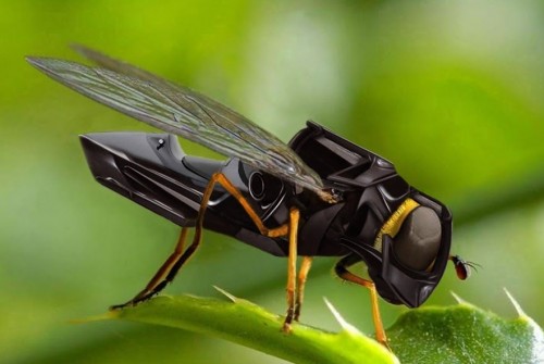 robobee2